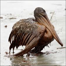 Earth Day, Two Year Anniversary of the BP Oil&nbsp;Spill