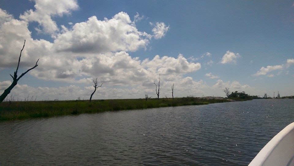 Field Work at Pointe aux&nbsp;Chenes